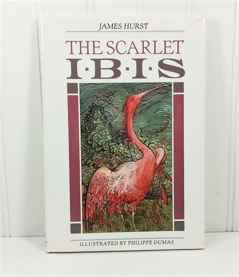 Book Of Ibis Bodog